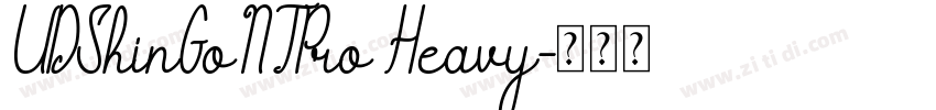 UDShinGoNTPro Heavy字体转换